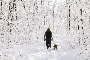 Best Winter Hiking Trails in Minnesota